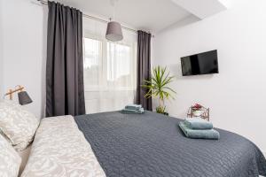 a bedroom with a large bed and a tv at Cozy Apartment - Swimming Center, Airport & Therme SPA in Otopeni