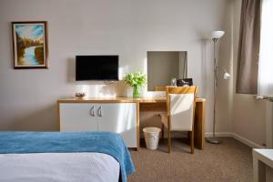 Televízia a/alebo spoločenská miestnosť v ubytovaní Hotel Phoenix