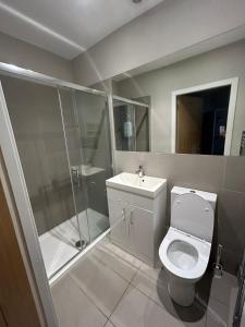 a bathroom with a toilet and a shower and a sink at Cosy James Street Park 2 bedroom, ground floor apartment, garden in Helensburgh