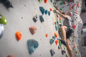 Goście zatrzymujący się w obiekcie Palladium de Champéry