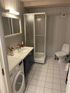 a bathroom with a sink and a washing machine at Central aparment in Ålesund city in Ålesund