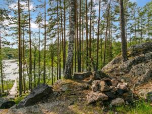 een bos met rotsen en bomen en een lichaam van water bij Holiday Home Karhupirtti by Interhome in Mäntyharju