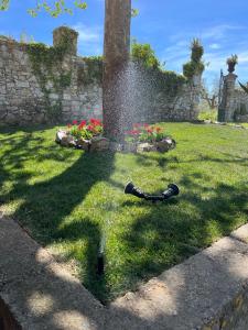 a water fountain in the grass in a yard at L'Oasi della Fonte in Albanella +36 photos