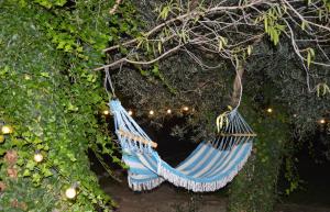 a blue hammock hanging from a tree at L'Oasi della Fonte in Albanella