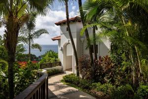 卡斯特里Sandals Regency La Toc All Inclusive Resort and Spa - Couples Only的相册照片