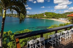 卡斯特里Sandals Regency La Toc All Inclusive Resort and Spa - Couples Only的相册照片