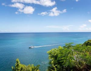 卡斯特里Sandals Regency La Toc All Inclusive Resort and Spa - Couples Only的相册照片