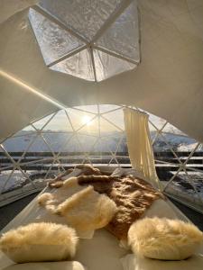 Φωτογραφία από το άλμπουμ του Berghotel Pischa Mountain Lodge στο Νταβός