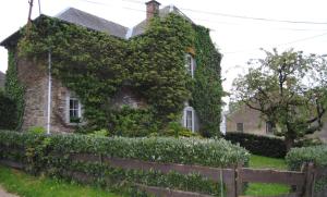 an ivy covered house with a fence in front of it at La Ferme de la Cour in Herbeumont