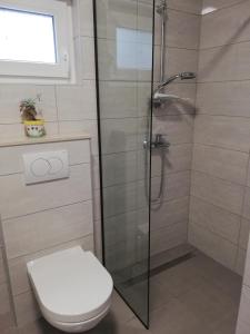 a bathroom with a shower with a toilet and a sink at Kuća za podmor Olea in Nečujam