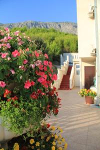 Κήπος έξω από το Apartmani Sunce i More