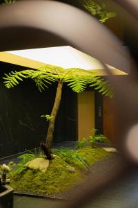 Vrt ispred objekta Chengdu Guiyuan Hotel