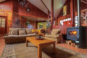a living room with a couch and a fireplace at ECOHOSTAL HUELLAS DEL BOSQUE in Valdivia