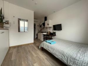 TV a/nebo společenská místnost v ubytování Studio Cosy renove 2023 avec garage