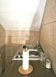 a kitchen with a stove with a roll of paper towels at Idyllic House in Kutina with Enclosed Garden in Kutina