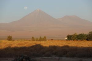 a mountain in the middle of a field with trees at Bangalô Ayllu Atacama in San Pedro de Atacama