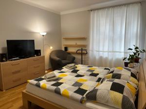 Voodi või voodid majutusasutuse Apartment Karla Čapka toas