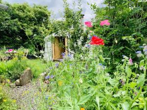 a garden with colorful flowers and a wooden shed at Wester Auchraw Croft B&B in Lochearnhead