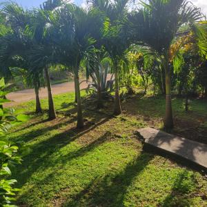 Vườn quanh Jacoway Inn