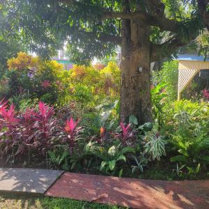 Vườn quanh Jacoway Inn