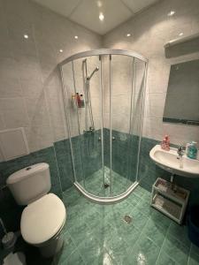 a bathroom with a shower and a toilet and a sink at Pine`s Lodge , private Wi-FI in Bansko
