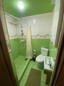 a green bathroom with a toilet and a shower at MODEST in Slavske +12 photos