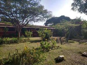 Κήπος έξω από το Camping estação lunar - Terra Ronca +6 φωτογραφίες