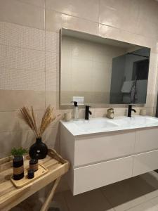 un bagno con un lavandino bianco e uno specchio di Villa spacieuse avec piscine à Saint-Pierre a Saint-Pierre