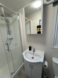 a bathroom with a sink and a shower with a mirror at PRACHTiG CHALET MEREL in Westerland +37 photos