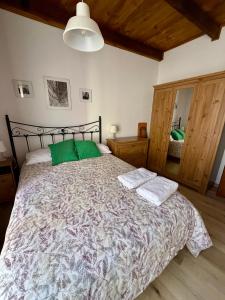 a bedroom with a large bed with two green pillows at Centro histórico Barrio Húmedo Acogedor Rústico in León +18 photos