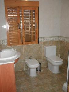 a bathroom with a toilet and a sink at Apartamentos Egeivan in Pontón Alto