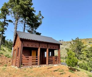 a small wooden cabin on a hill with trees at Mountain Eco Shelter 5 in Funchal