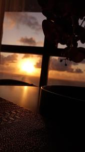 a silhouette of a plant in front of a sunset at Luxury Paiva Flat in Recife