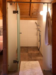 a bathroom with a shower and a glass door at Gut Müllerleile Ferienhaus in Gengenbach