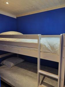 two bunk beds in a room with a blue wall at Studio cabine face au Cambre d'aze in Saint-Pierre-dels-Forcats