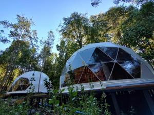 普孔Ayün Lodge的两个圆顶,在有树的田野上