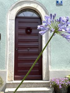 Η πρόσοψη ή η είσοδος του Galeriezimmer im Jurahaus
