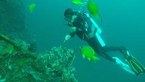 入住Ocean View Tulamben Dive & Resort的客人