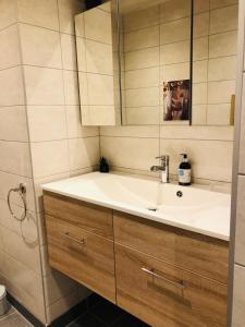 a bathroom with a sink and a mirror at Vakantiewoning De Passerelle in Geraardsbergen +36 photos