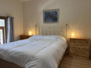 ein Bett in einem Schlafzimmer mit zwei Nachttischen und zwei Leuchten in der Unterkunft Maison spacieuse et fonctionnelle - 5 chambres, terrasse, parking privé - FR-1-548-27 in Villard-de-Lans