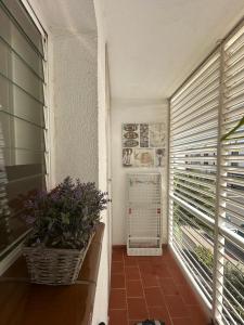 Zdjęcie z galerii obiektu La Isla House 5 minuti Centro-Spiaggia Corralejo w Corralejo