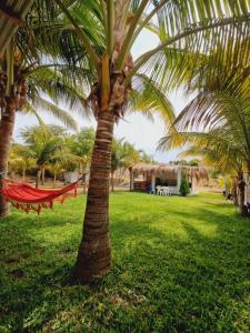 a palm tree with a hammock in a park at Casa Playa "Alicia Micaela" in Zorritos +20 photos