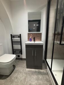 a bathroom with a toilet and a sink and a shower at Luxury Living in Reading Town Centre in Reading
