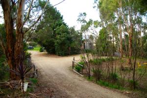 a dirt road with trees and a fence at Pear Tree Hollow in Bald Hills +16 photos