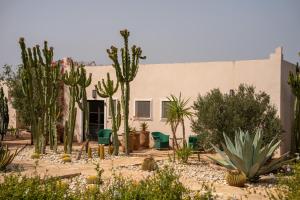 a house with cacti and plants in front of it at Les jardins de Mogador, La Villa Cactus in Essaouira