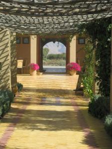 a patio with potted plants and an archway with a window at Auberge Tinit in Er Rachidia