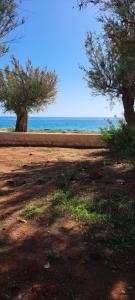 Φυσικό τοπίο κοντά σε αυτή η παραθεριστική κατοικία +7 φωτογραφίες