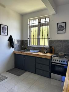 Η κουζίνα ή μικρή κουζίνα στο OC Appartement