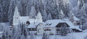 Gasthof Raufner v zimě