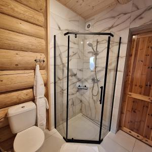 a bathroom with a shower and a toilet at Domki Wojtasówka in Obrazów +30 photos